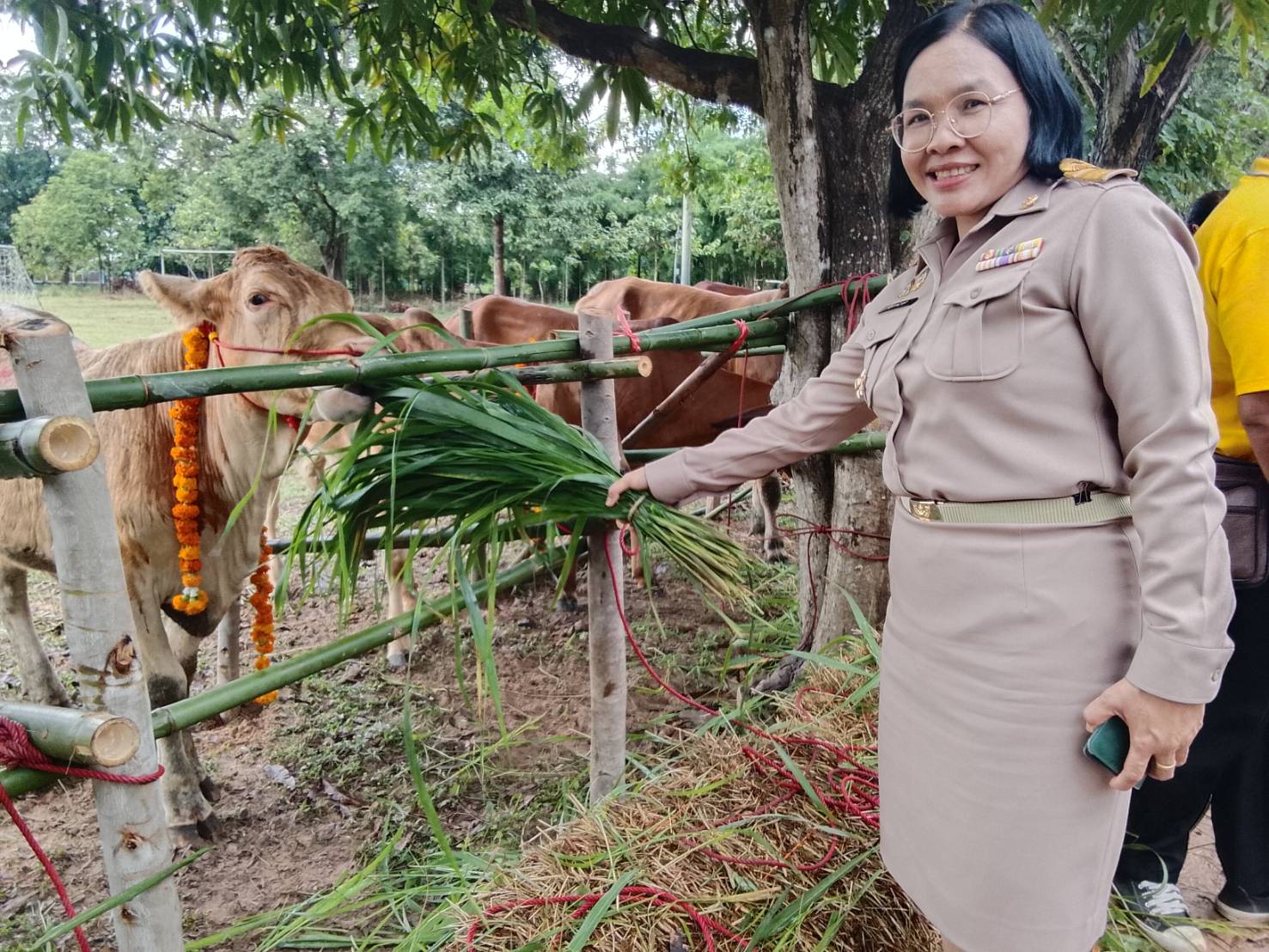 title - ส.ป.ก.ยโสธร ร่วมเป็นเกียรติในพิธีมอบโคและสัญญายืมเพื่อการผลิต  โครงการธนาคารโค-กระบือ เพื่อเกษตรกร พระราชดำริ
